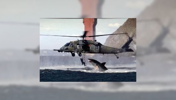 Admiral Shark Casino Review: A Detailed Look at Shark-Sized Gaming Opportunities in United Kingdom